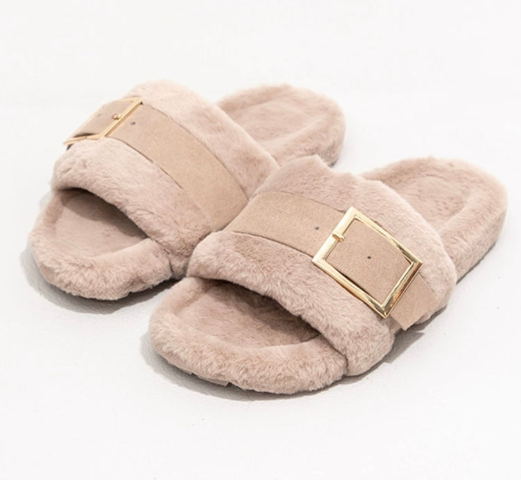 "Amelia Grace" Slides